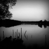 /album/barbara-rice/photolia-b01-jpg/